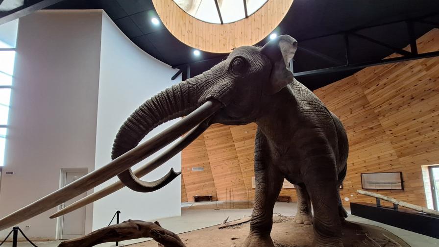 Светът преди 5 милиона години: Среща с мастодонти, саблезъби тигри и маймуни край Дорково