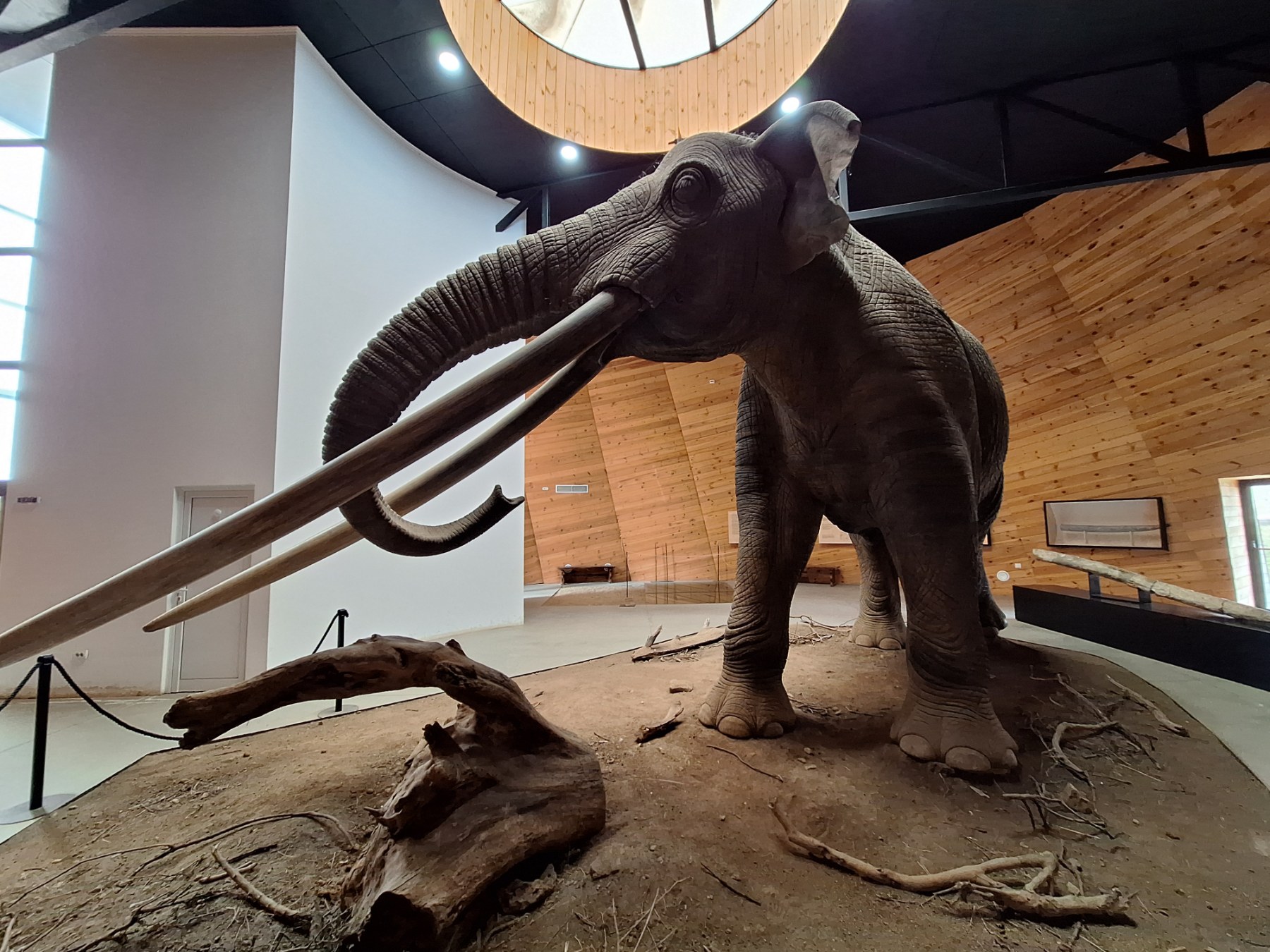 <p>Плиоценският парк в Дорково е най-голямото находище на Балканите, събрало над 600 кости от 30+ вида древни животни. С уникалния си музей то разкрива вълнуваща история за климата и природата в Източна Европа преди милиони години.</p>