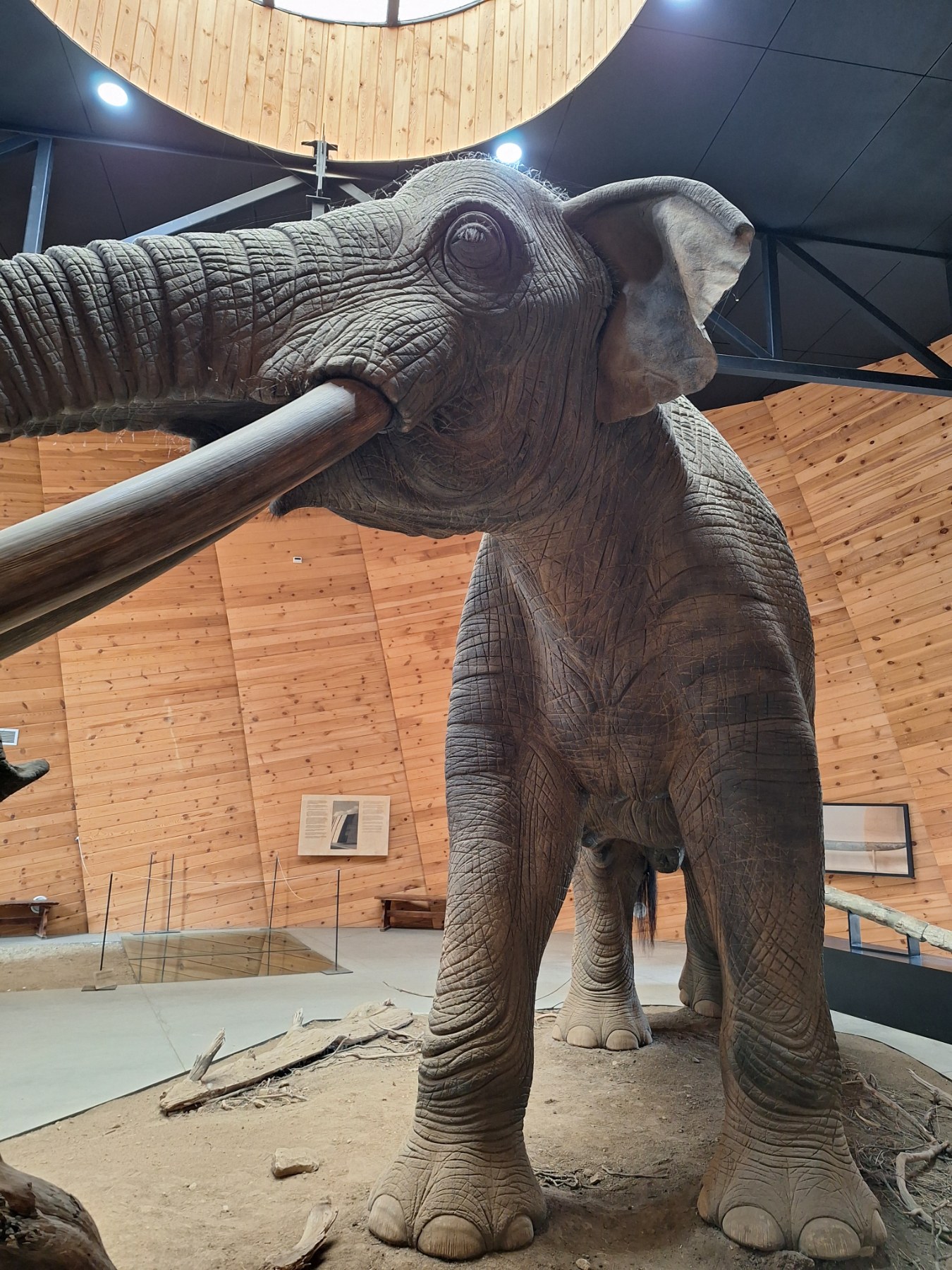 <p>Плиоценският парк в Дорково е най-голямото находище на Балканите, събрало над 600 кости от 30+ вида древни животни. С уникалния си музей то разкрива вълнуваща история за климата и природата в Източна Европа преди милиони години.</p>