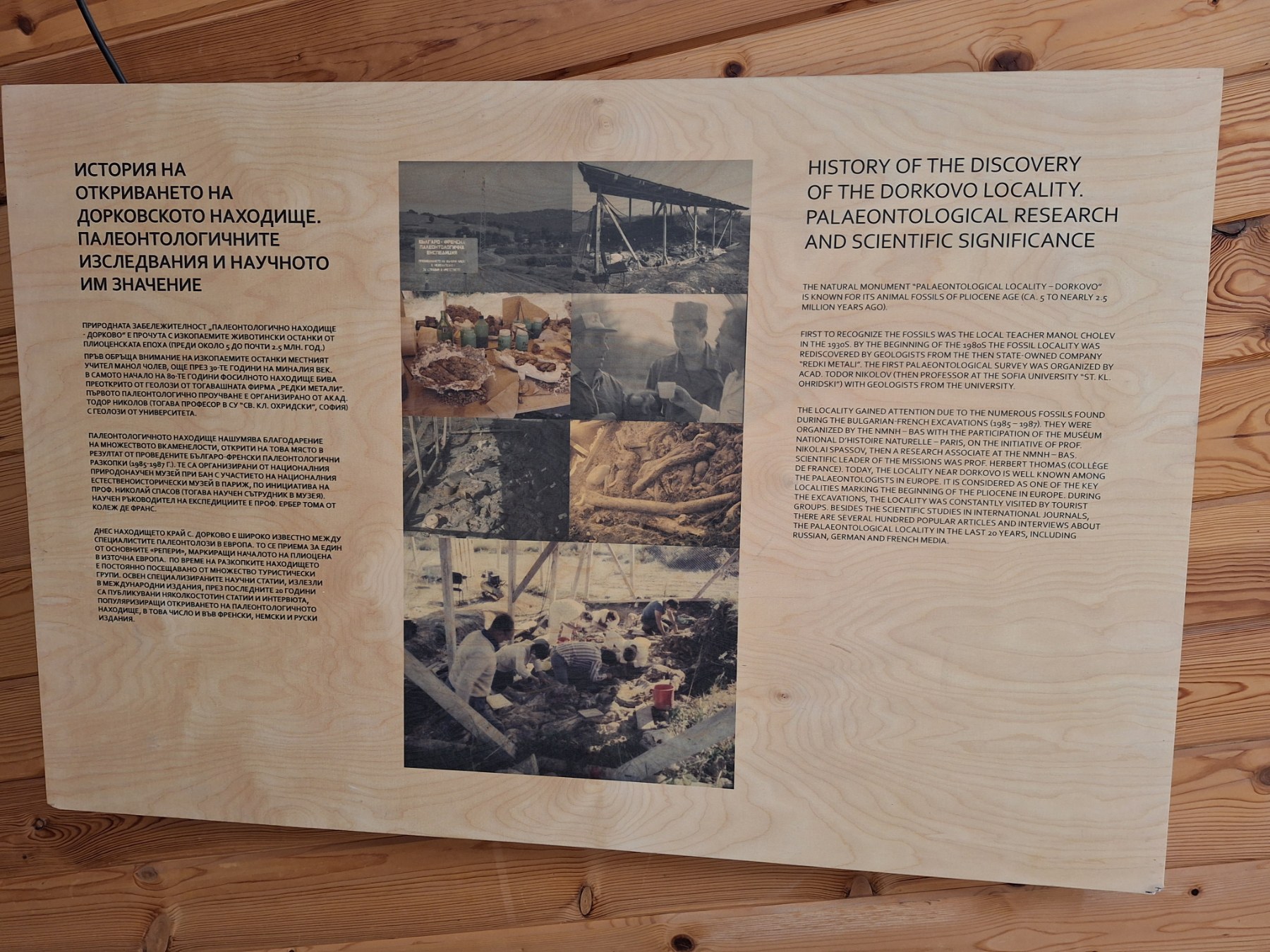 <p>Плиоценският парк в Дорково е най-голямото находище на Балканите, събрало над 600 кости от 30+ вида древни животни. С уникалния си музей то разкрива вълнуваща история за климата и природата в Източна Европа преди милиони години.</p>