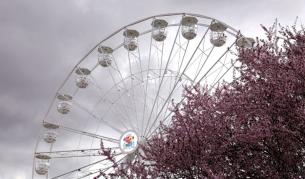 Откриха най-високото виенско колело в България в сърцето на София