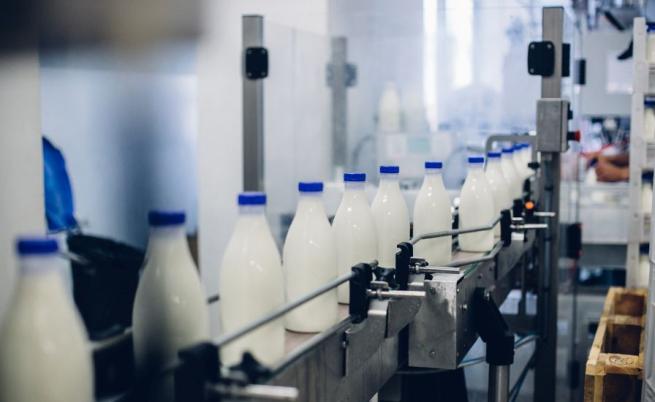 БАБХ иззе половин тон млечни продукти в Хасковско