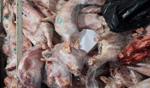 Над 10 тона месо в незаконна кланица в Дебелец