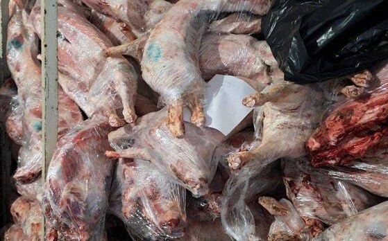 Над 10 тона месо в незаконна кланица в Дебелец