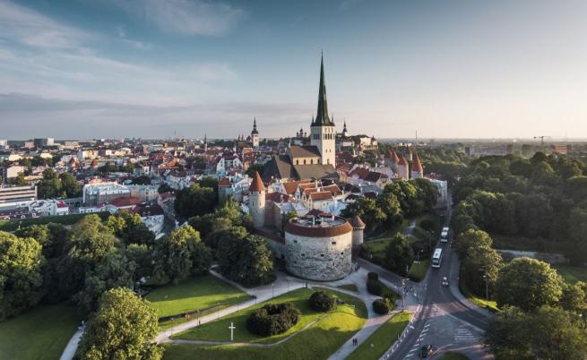 БезГранично: Естония - дигиталното сърце на Севера, където времето е спряло в горите