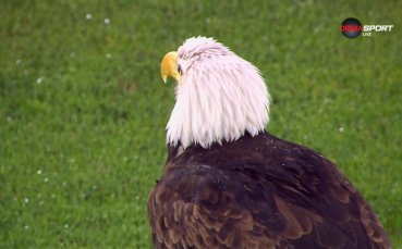 Проливен дъжд преди Лудогорец - ЦСКА (видео)