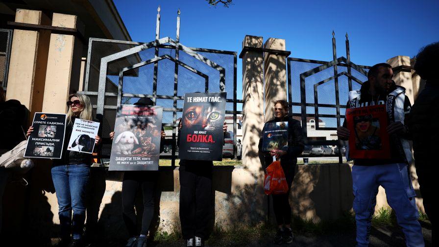 Граждани на протест в София срещу...