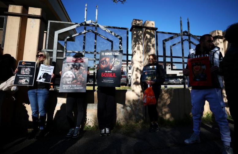 Протест срещу насилието над животни