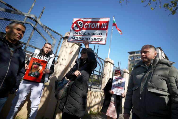 Протест срещу насилието над животни