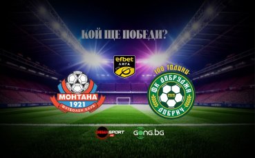 Монтана и Добруджа в директен дуел за оставане в efbet Лига