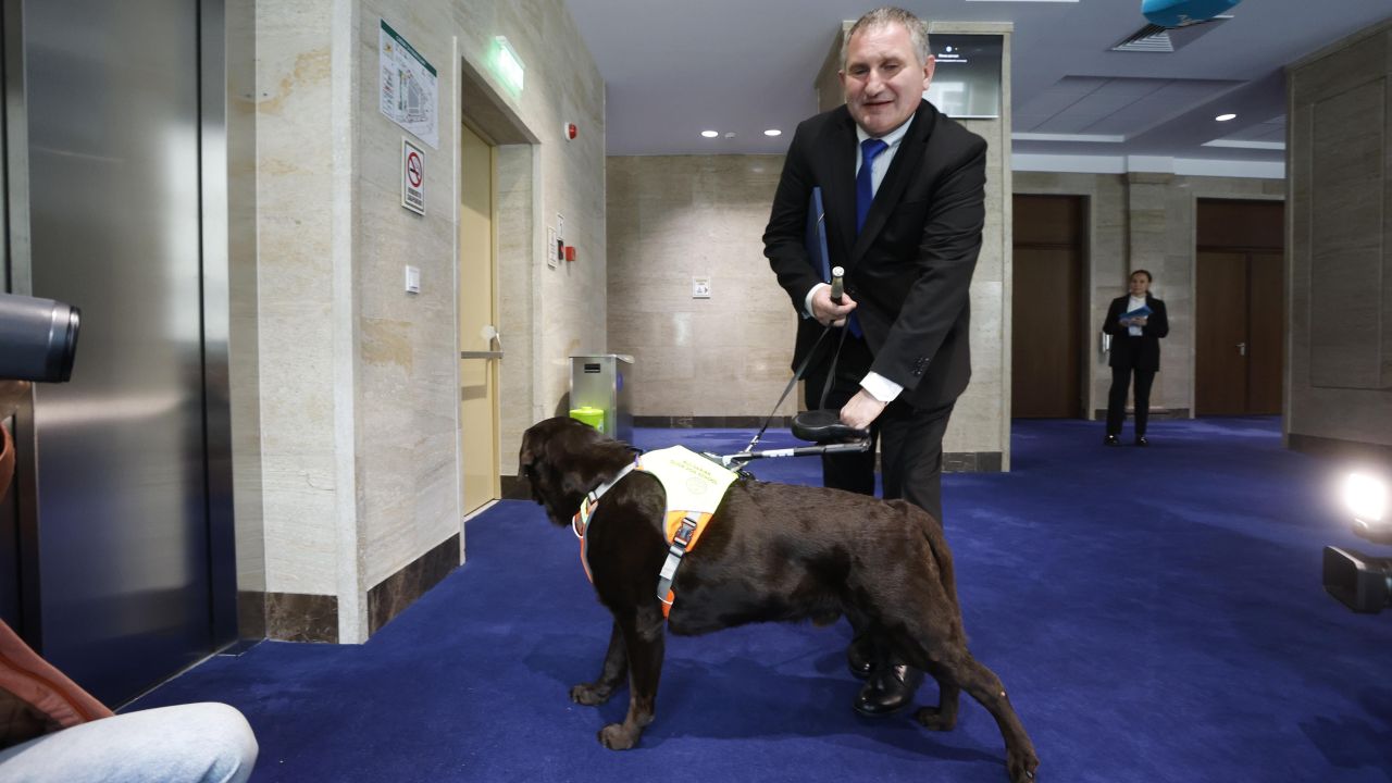 <p>Четириногият любимец, който обира симпатиите в кулоарите на парламента и доказва, че в политиката има място за верни приятели</p>