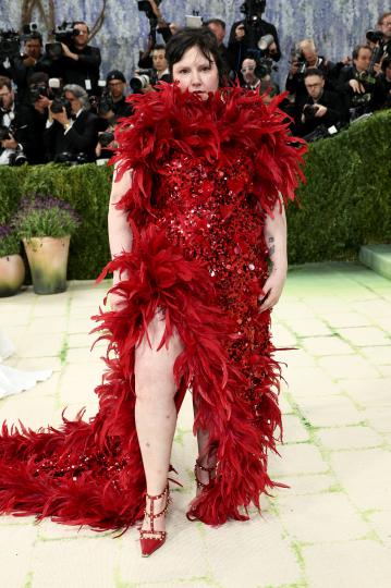 Звездите на Met Gala 2026 - снимка 28