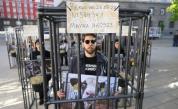 „Живот, а не затвор“: Протест пред НС настоява за забрана на отглеждането на телета в клетки