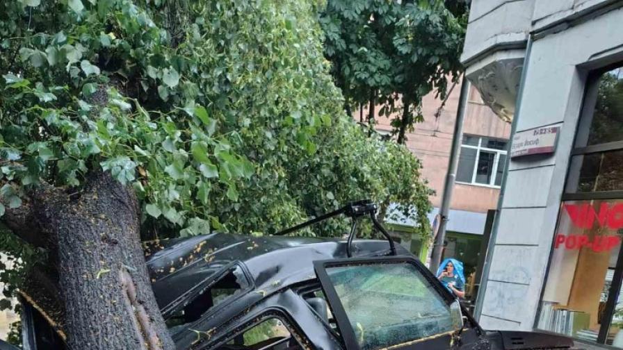 Щетите от бурята на 1 юли в София