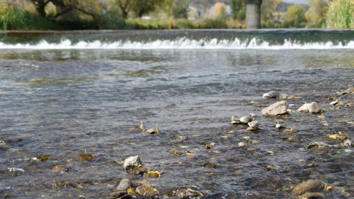 Трагедия във водите на Струма, удавени възрастни, търсят две деца