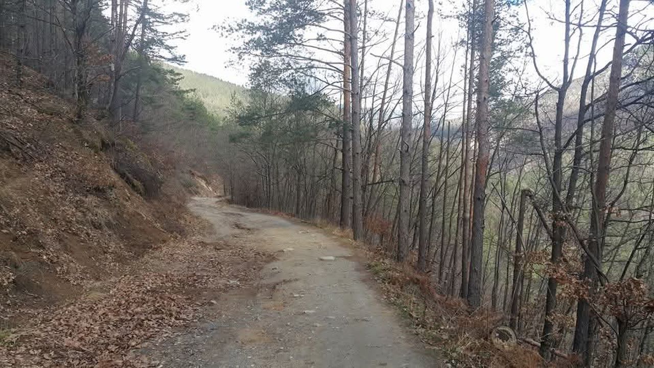 <p>Някъде дълбоко в Родопите, в община Ардино, близо до село Дядовци, река Арда рисува живописен пролом, достоен за картина на велик художник &ndash; Дяволският мост. Място на легенди, мистерии и невероятна история, завинаги запечатани в &bdquo;каменната книга на природата&ldquo;.</p>