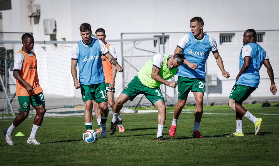 Ludogorec Лудогорец Теута1