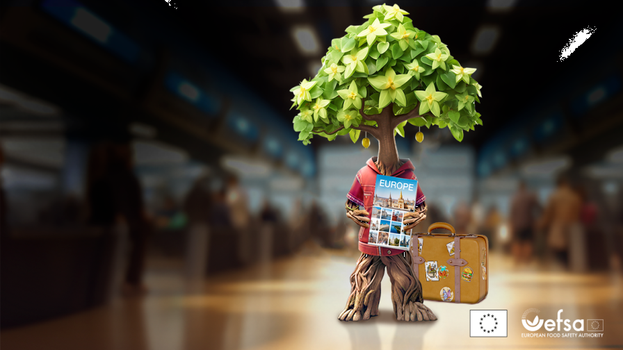 Кампанията Plant Health 4 Life: 4 години, 33 държави и милиони европейци в подкрепа на растителното здраве