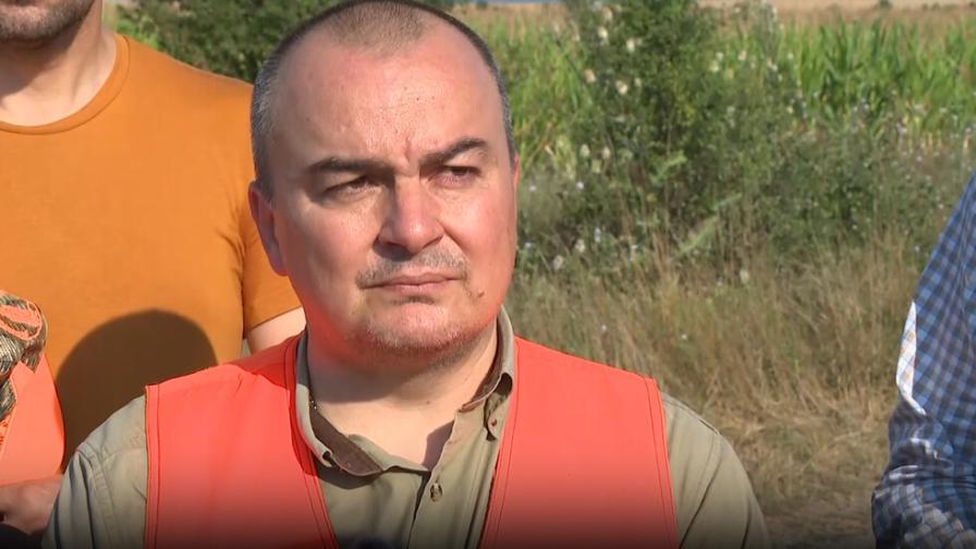 Министърът на земеделието: Африканската чума по свинете не е опасна за хората