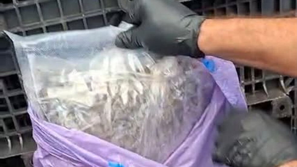 На снимката е показана опаковка с бял прах, държана в ръка с черни ръкавици