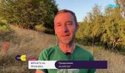 Прогноза за времето (06.09.2026 - сутрешна)