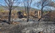 Последствия от пожара край село Димовци