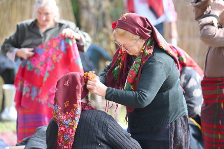 гелина рибново