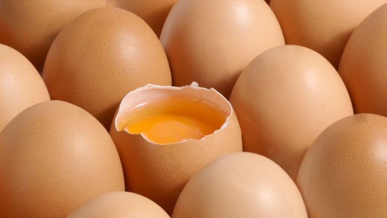 яйца яйце жълтък