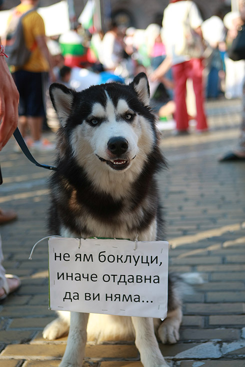 За девети ден десетки хиляди хора поискаха оставка на правителството. Според много от присъстващите на протеста той е бил най-многолюдният досега. От МВР няма информация колко хора са се включили в шествията.