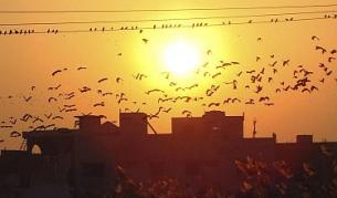 Липсващите слънчеви петна - започва ли ледена епоха?