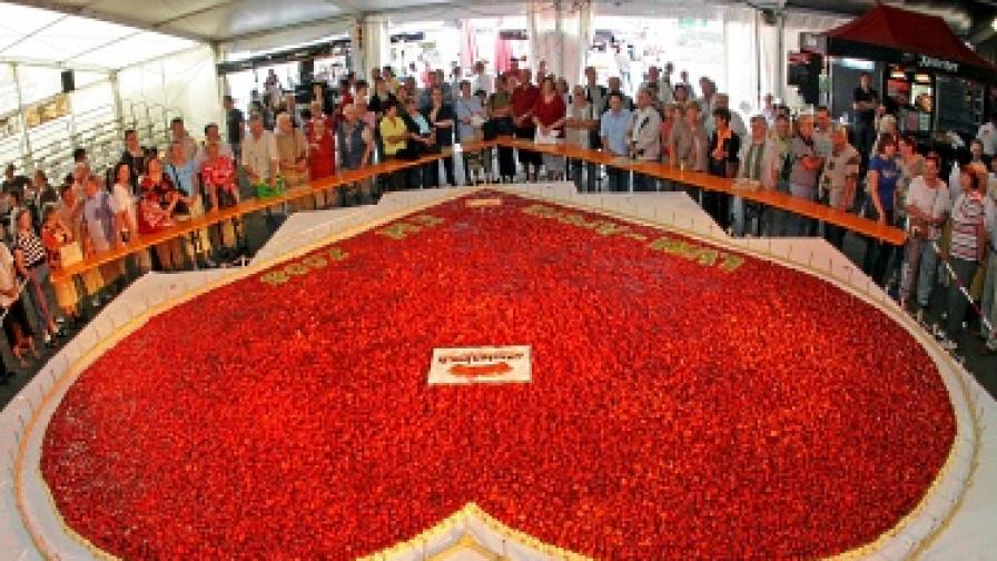 Миналата година в Германия също направиха гигантска ягодова торта. За нея бяха използвани 16 хил. ягоди, 80 кг пудинг, 160 кг бисквити и 175 кг швейцарско ягодово желе.