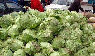 Салатите и зелето поевтиняват през май