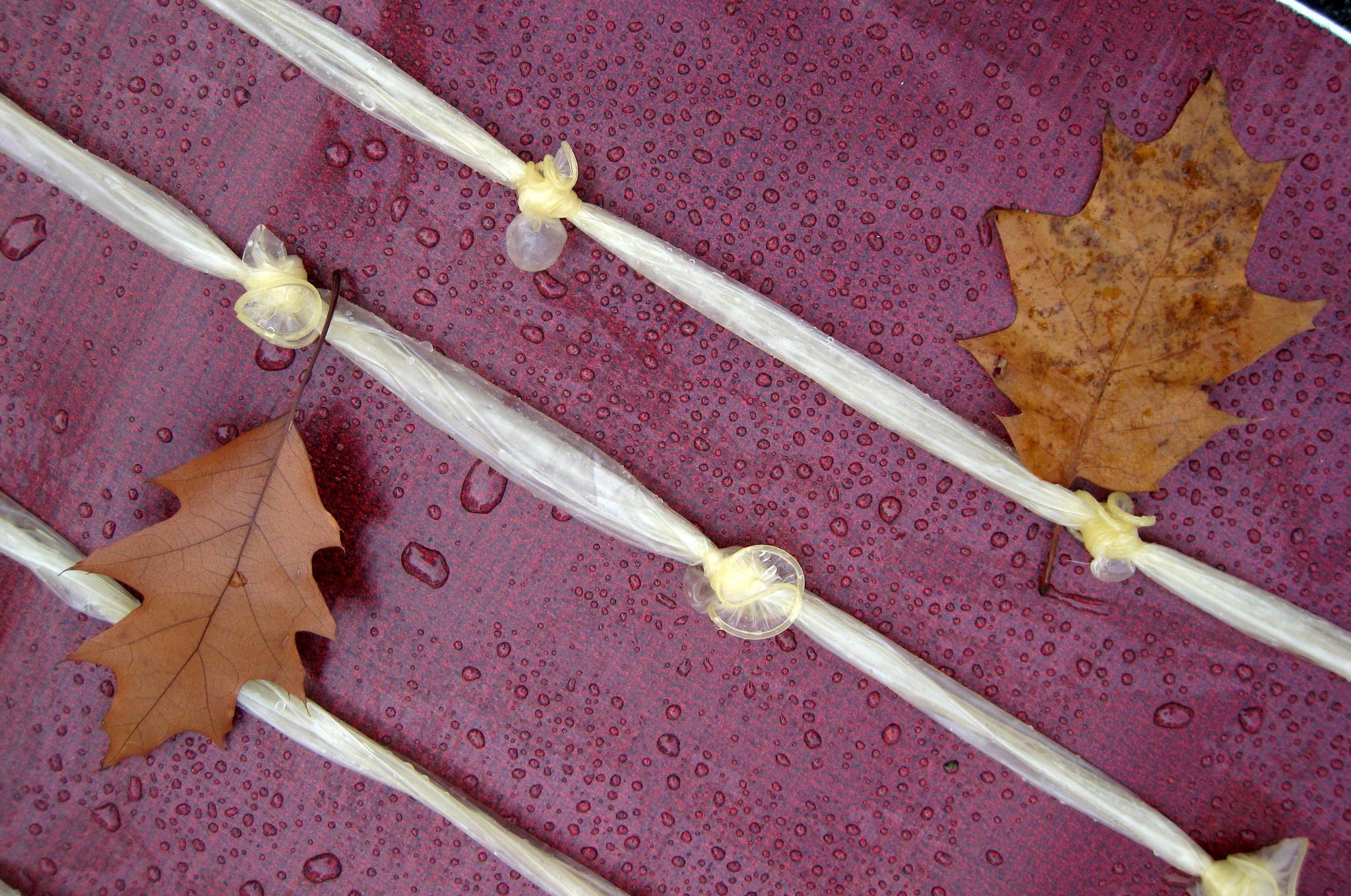 Вече и вегетариански кондоми