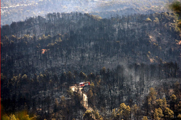 Стотици евакуирани заради голям пожар край Марсилия