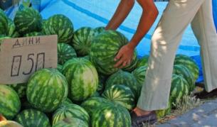 Основните хранителни стоки не са поскъпнали през юли