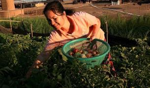 Наши работници в Италия се къпели в общ ров