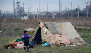 Пеленаче живее под открито небе в Бургас