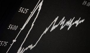 Рубини: Пазарите нараснаха твърде рано и твърде бързо