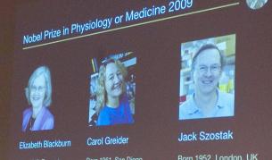 Нобелът за медицина - за откритието как се предпазват хромозомите ни