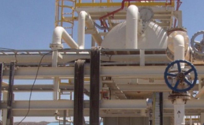 Желева: Поставяме начало на енергийна дипломация