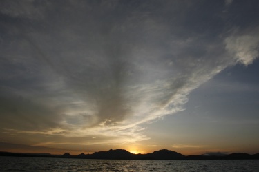 Как се спасява климатът за 2 евро на ден