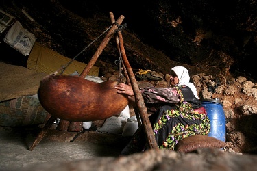 Хората не хапят