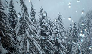 Опасност от лавина в планините