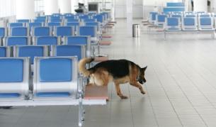 На българските международни летища не се налага увеличаване на броя на охранителите