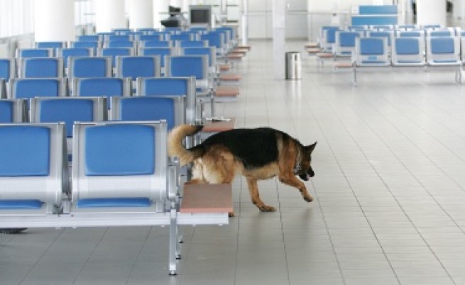 И на българските летища въвели по-строг контрол