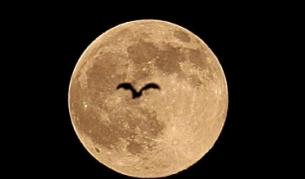 Посрещаме 2010 г. със синя луна