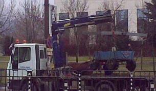 Уникално: Паяк вдига каруца