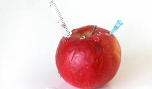 Депутатите запазиха забраната за ГМО