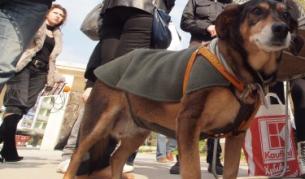 На протеста във Варна се събраха около 150 души