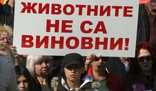 За съжаление случаи като "Сушево" ни кара да се съмняваме в надписи като този, издигнат на един от протестите срещу насилието над животни